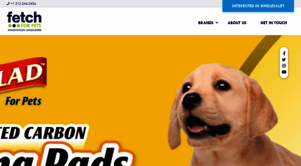 www-fetch4pets-com.sandbox.hs-sites.com