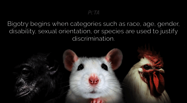 www2.peta.org