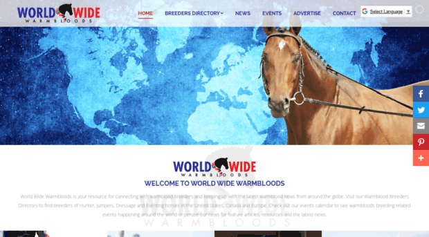 wwwarmbloods.com