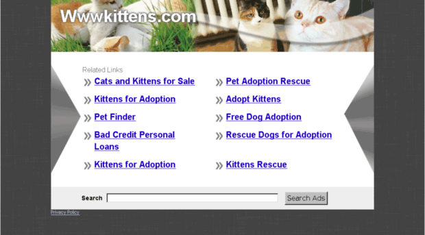 wwwkittens.com