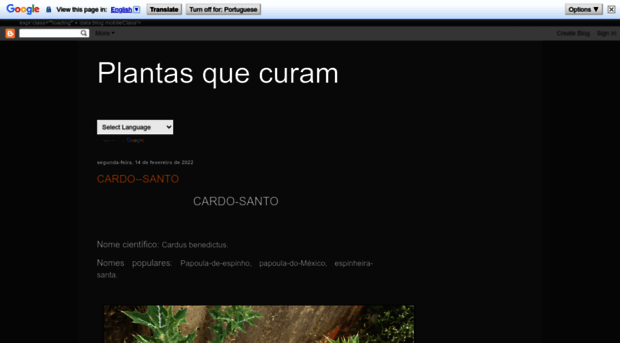 wwwplantasquecuram.blogspot.com.br