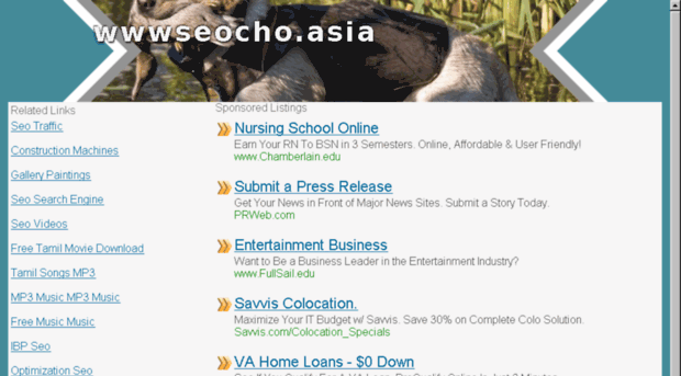 wwwseocho.asia