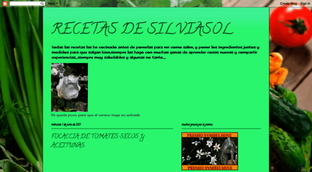 wwwsilviasol-silvia.blogspot.com