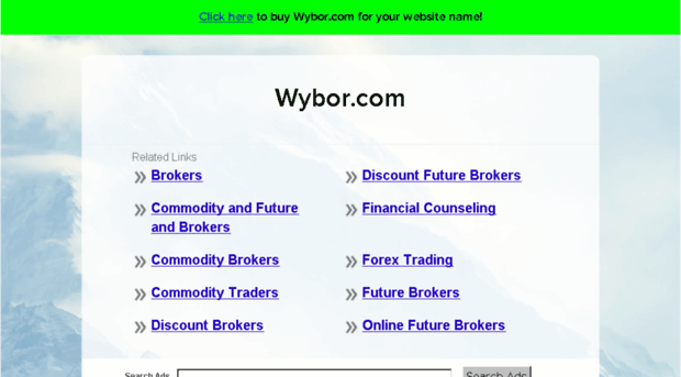 wybor.com