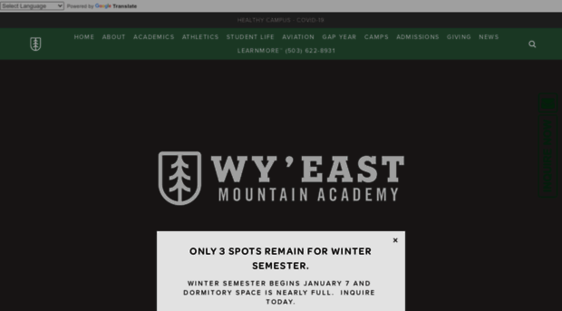 wyeastacademy.com