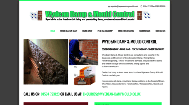 wyedean-dampmould.co.uk