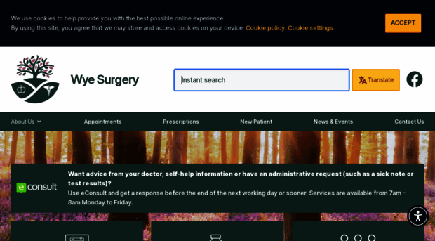 wyesurgery.co.uk