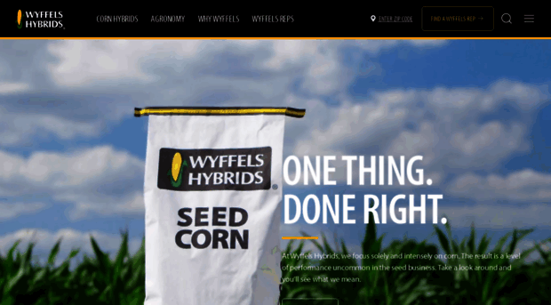 wyffels.com