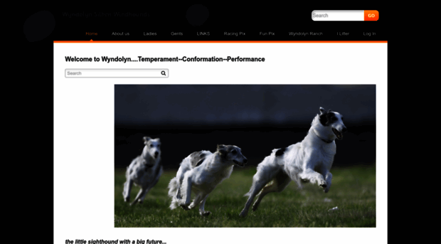 wyndolynsilkenwindhounds.com