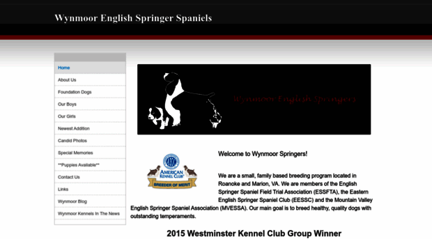 wynmoorspringers.com