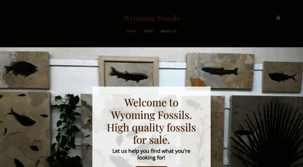 wyomingfossils.com