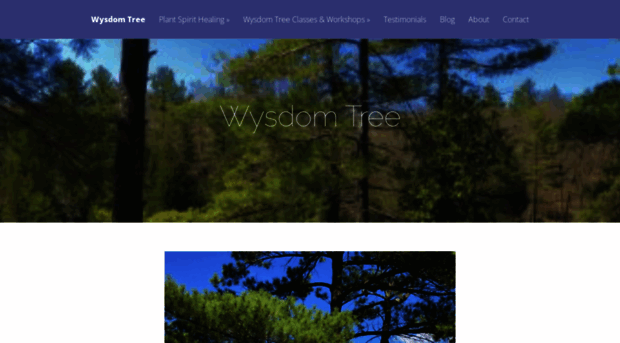 wysdomtree.com