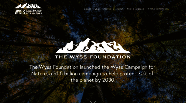 wysscampaign.org