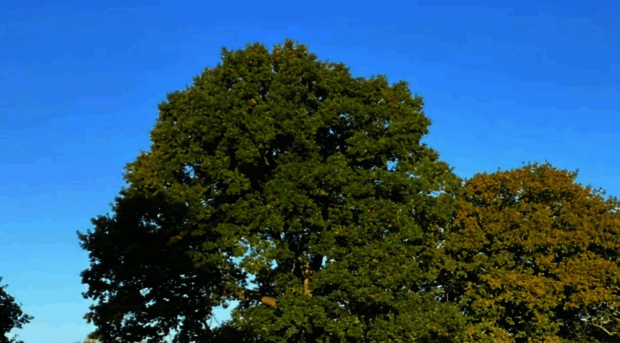 wythall-park.org.uk