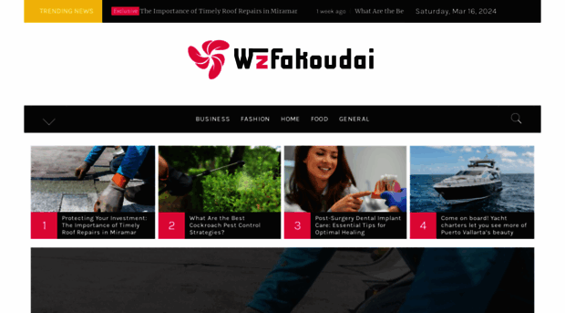 wzfakoudai.com