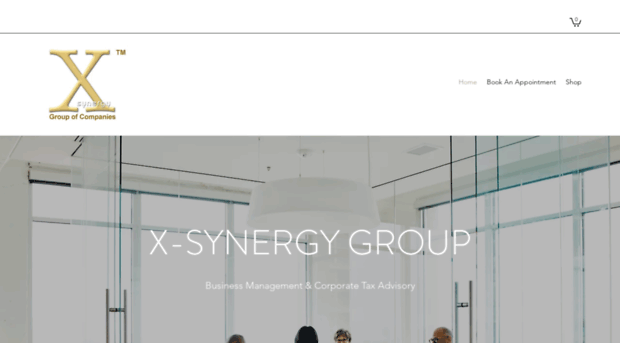 x-synergy.com