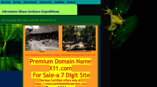 x11.com