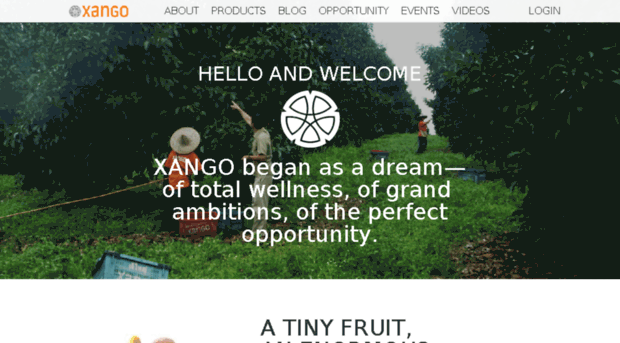 xango.ie