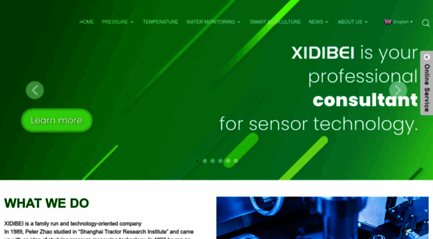 xdbsensor.com