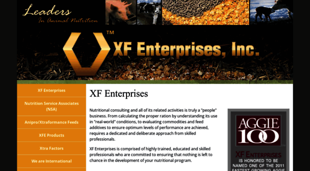 xfent.com