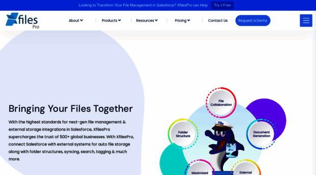 xfilespro.com