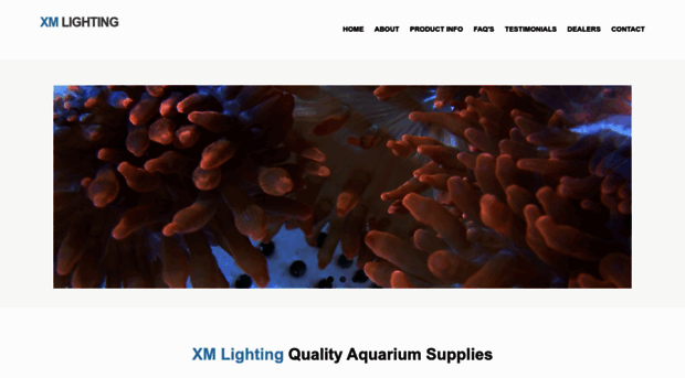 xmlighting.com