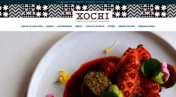 xochihouston.com