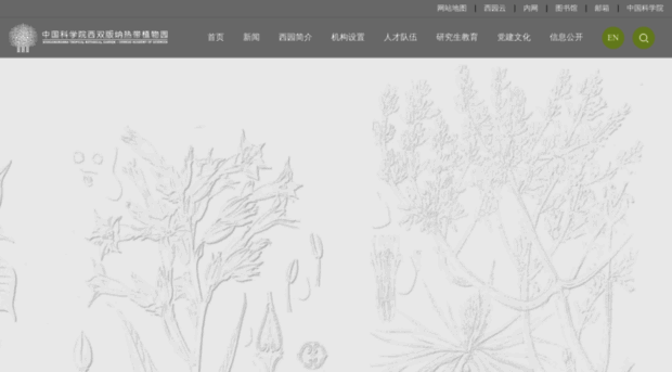 xtbg.ac.cn