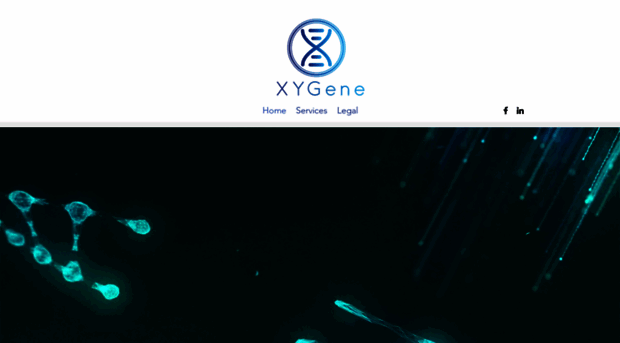 xygene.net