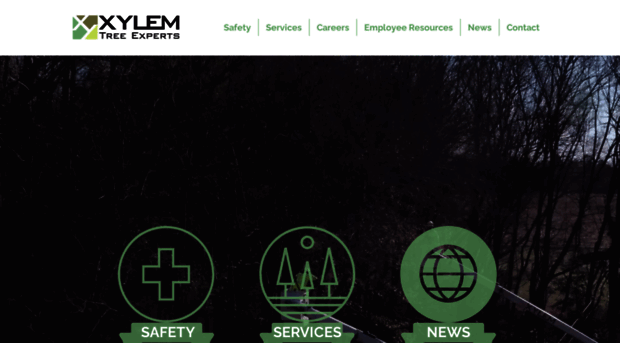 xylemtree.com