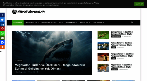 yabanihayvanlar.com