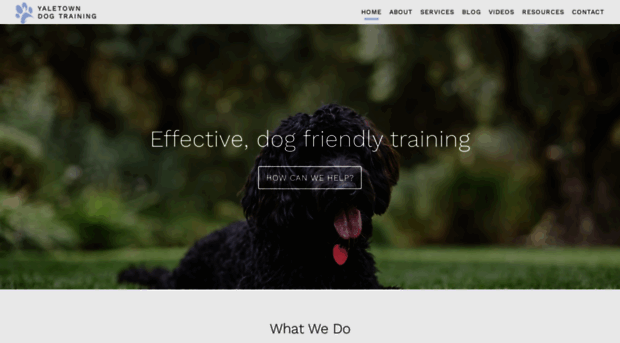 yaletowndogtraining.com