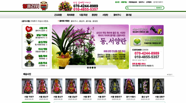 yangflower.com