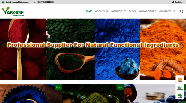 yanggebiotech.com