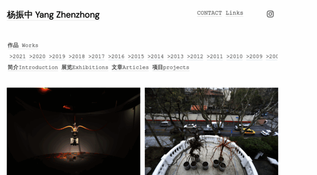 yangzhenzhong.com