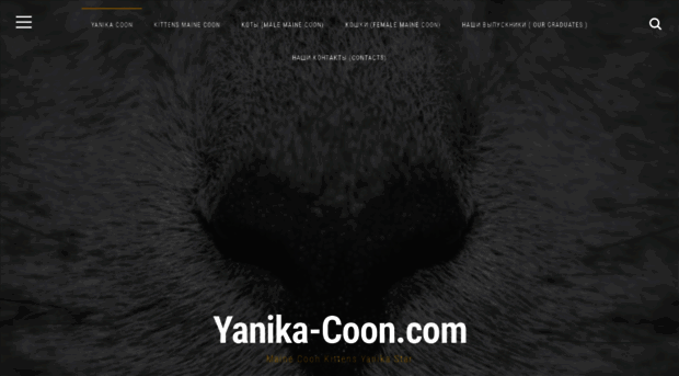 yanika-coon.com