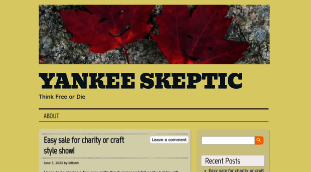 yankeeskeptic.com