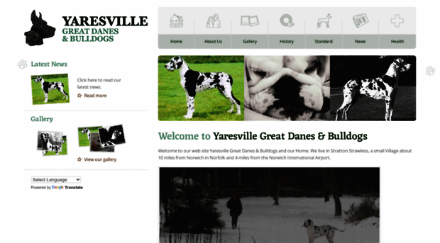 yaresville.com