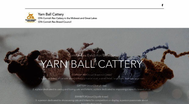 yarnballcattery.com