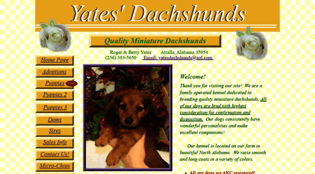 yatesdachshunds.com