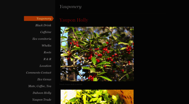 yauponery.weebly.com