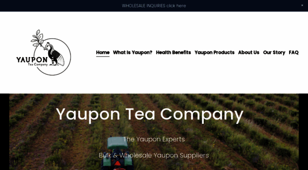 yaupontea.com