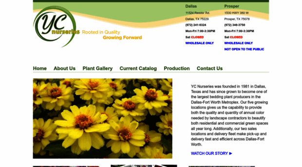 ycnursery.com