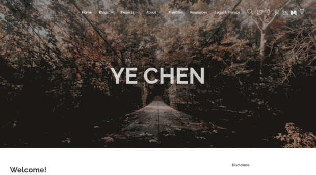 ye-chen.com