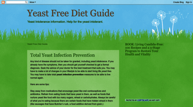 yeast-free-diet-guide.blogspot.com