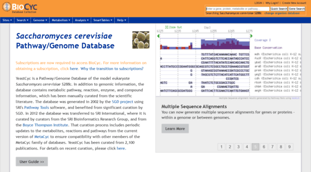 yeast.biocyc.org