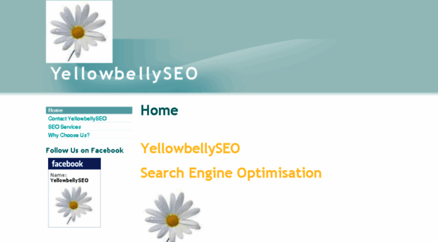 yellowbellyseo.com