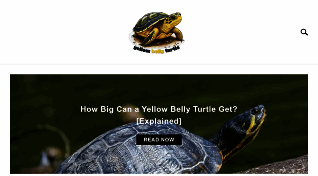 yellowbellyturtle.com