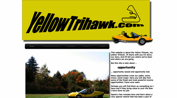 yellowtrihawk.com