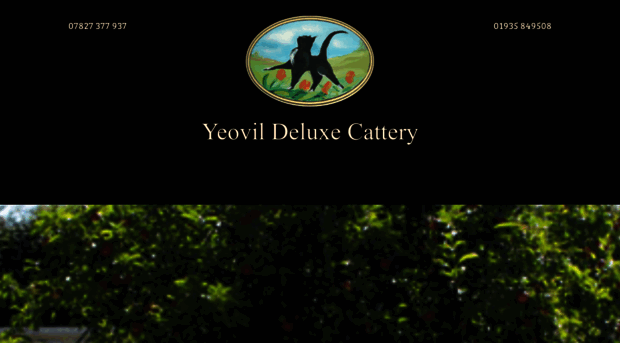 yeovildeluxecattery.co.uk